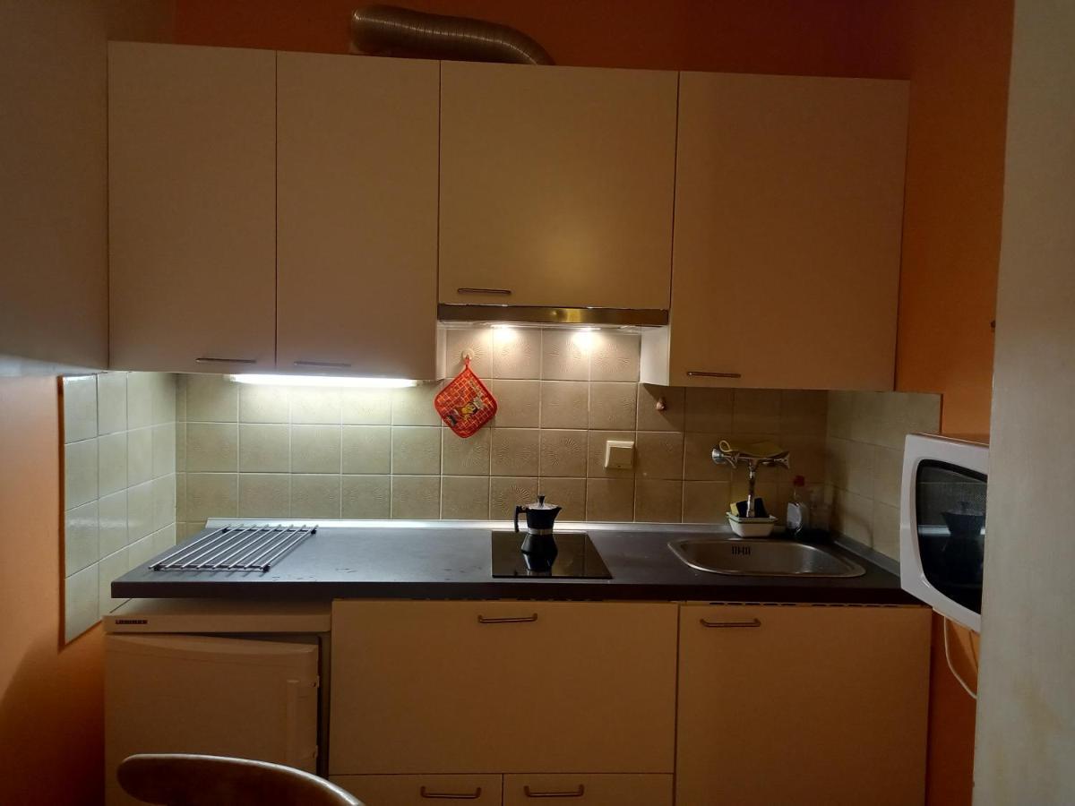 Panoramis In Apartment Schladming