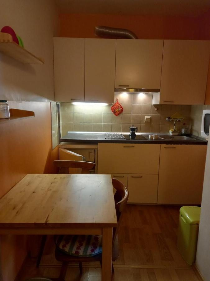 Panoramis In Apartment Schladming