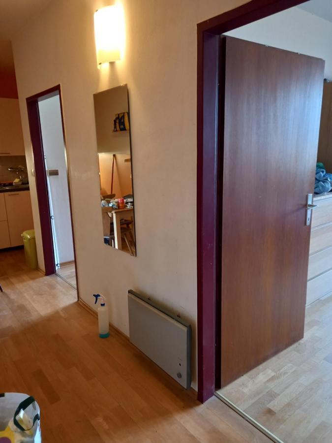 Panoramis In Apartment Schladming